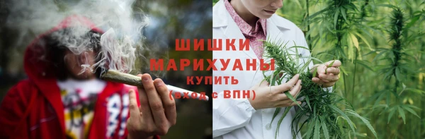 spice Пестово