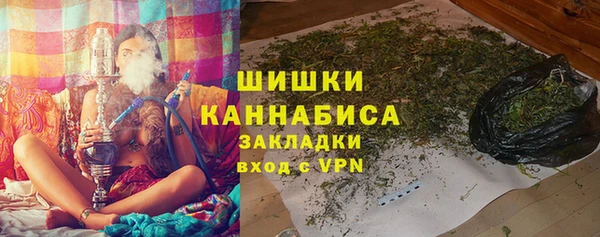 spice Пестово